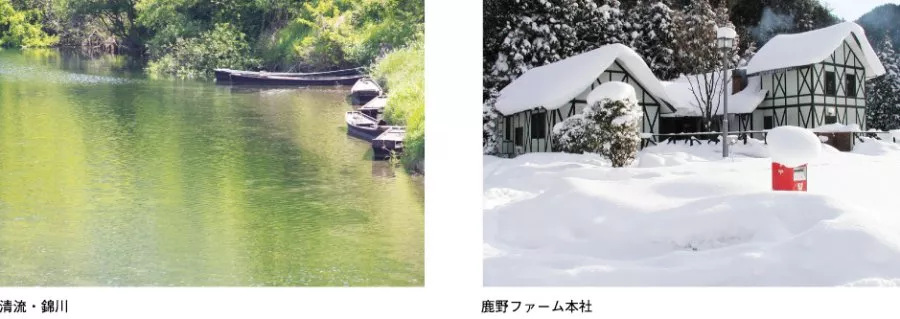 鹿野のハム
