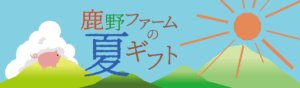 鹿野ファームの夏ギフト